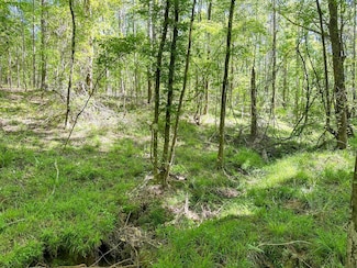 0 Berwick Cassels Rd, Gloster, MS 39638