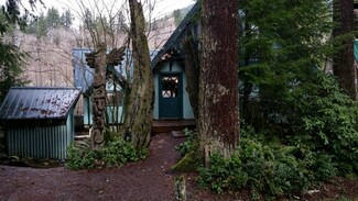 75800 NE 123rd St, Skykomish, WA 98288