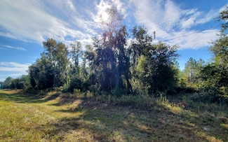 00 County Road 137, Jasper, FL 32052