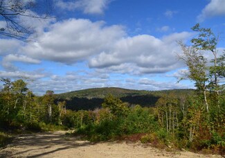 691 Franklin Pierce Hwy (Nh Rte 9), Stoddard, NH 03464
