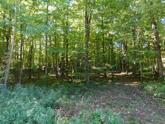 Lot 4 Edward Dr, Merrill, WI 54452