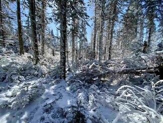 17 Quimby Rd Unit Lot 17, Stewartstown, NH 03576