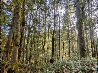 00971354 E Rolling Green Ct, Mount Hood Village, OR 97067