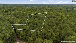 227 Will Dent Rd, Lexington, SC 29072
