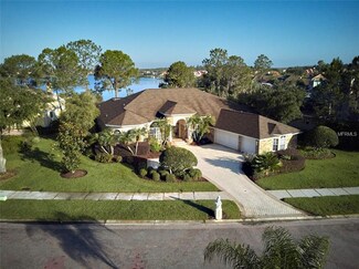 10503 Cory Lake Dr, Tampa, FL 33647