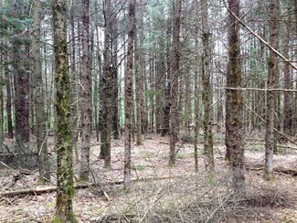 0 Hwy K Unit 1503763, Merrillan, WI 54754