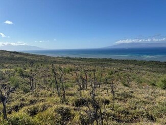 0 Onioni Dr Unit Lot 82 403935, Kaunakakai, HI 96748