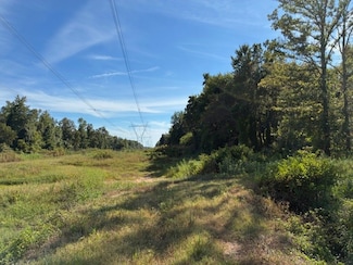 13197 Johnson Grove Rd, Halls, TN 38040