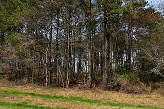 Lot 862 Broadside Dr Unit 862, Greenbackville, VA 23356