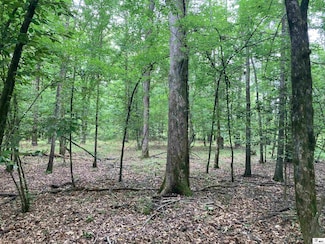 000 Krause Rd, Homer, LA 71040