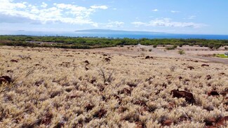 0 Pohaku Aeko St Unit Lot 31/ Unit A, Lahaina, HI 96761
