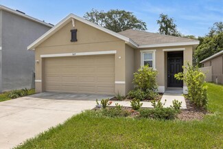 5217 Hillside Meadow Place, Tampa, FL 33610