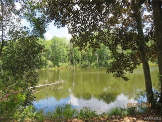 111 Oak Lake Dr, Level Plains, AL 36330