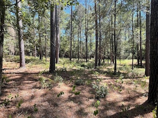 TBD Remington Rd, Huntsville, TX 77340