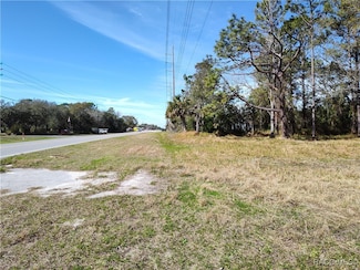 6911 W Grover Cleveland Blvd, Homosassa, FL 34448