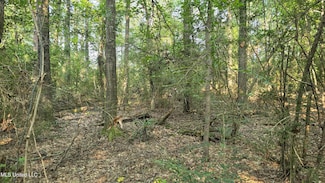 000 Alabama St, Roxie, MS 39661