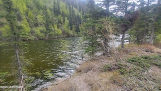 L12-21 B34 Chitina Townsite, Chitina, AK 99566