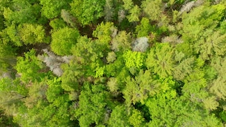 Lot 749 Tamarack Trail, St. James Township, MI 49782