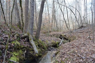 909 Bald Hill Loop, Madison, NC 27025