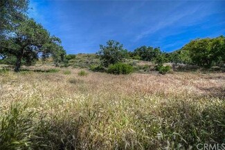 0 Hamilton Trail Unit OC16093249, Trabuco Canyon, CA