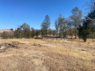 16107 Cagle Ln, Keswick, CA 96001