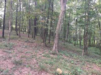 000 County Road 1693, Holly Pond, AL 35083