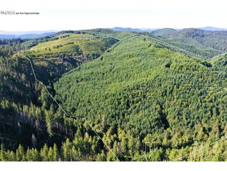 0 High Pass Rd Unit TL3400 24168654, Junction City, OR 97448