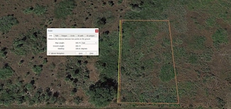 18925 NW 274th St, Okeechobee, FL 34972