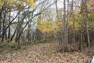 TBD Dexter Rd, Linneus, MO 64653