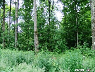 Lot 10 Magpie Ln, Truxton, NY 13158