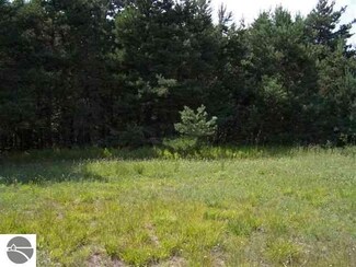 20 Hiawatha Trail, Buckley, MI 49620