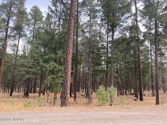 000 County Road 2196 Unit LOT 74 AFE, Alpine, AZ 85920