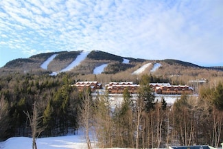 16 Roadrunner Dr Unit A308, Newry, ME 04261