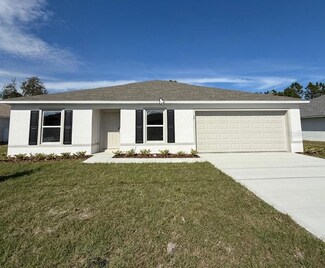 24 Buffalo Plains Ln, Palm Coast, FL 32137