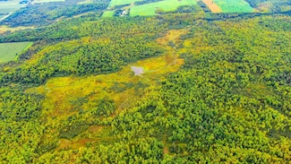 00 Wildflower Rd, Jump River, WI 54766