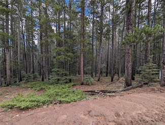 3022 Bolwell Ln, Fort Garland, CO 81133