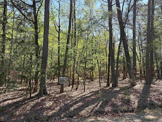 17 Lindo Ln, Hot Springs Village, AR 71909
