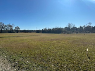 NHN Werner Rd, Picayune, MS 39466