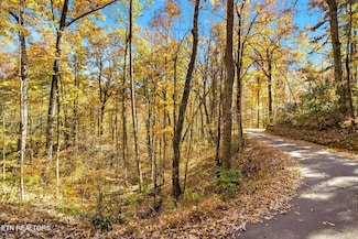 0 Grassy Branch Loop, Sevierville, TN 37876