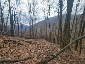 400 Mountain Laurel Rd, Maggie Valley, NC 28751