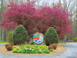 LOT 35 Baldwin Dr, Lowgap, NC 27024