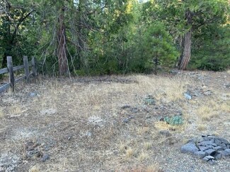 59685 Forest Ln, Cromberg, CA 96103