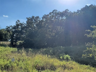 Lot 445 Ranchview Ct, Bowie, TX 76230