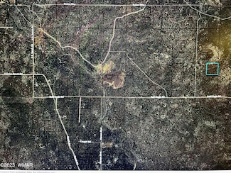0 E Bald Eagle Rd Unit 255922, Show Low, AZ 85901