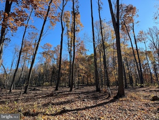 0 Digging Bear Ln Unit VALO2111588, Purcellville, VA 20132