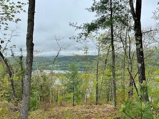 Map 27 Lot 5 Church St, Walpole, NH 03608
