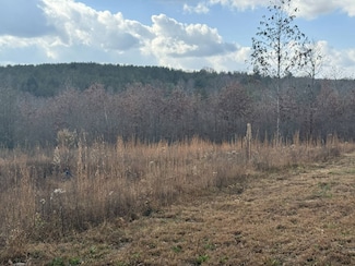 6.25 Acres Valerie Dr, Deer Lodge, TN 37726