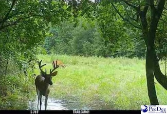 103.61 Acres Rucker Dr, Timmonsville, SC 29161