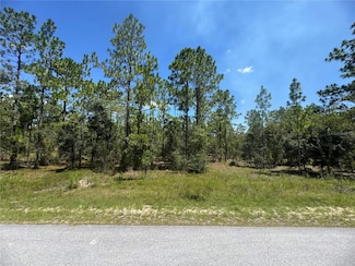 0 SE 105th Ln Unit MFROM706398, Dunnellon, FL 34431