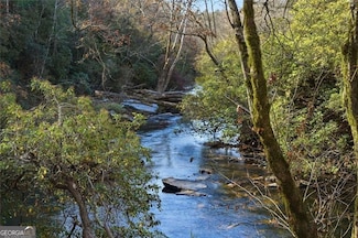 0 Lower Dowda Mill Rd Unit 10648232, Jasper, GA 30143